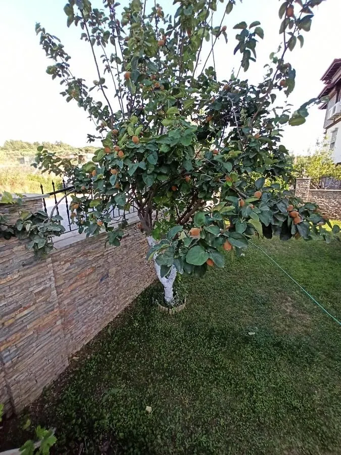 Villa Dora Кушадасы Турция