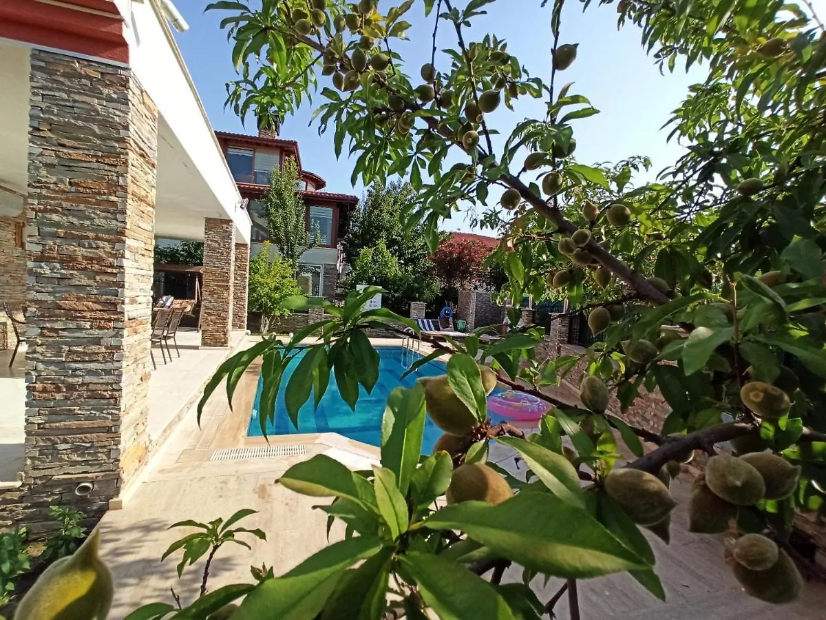 Villa Dora 库萨达斯 土耳其