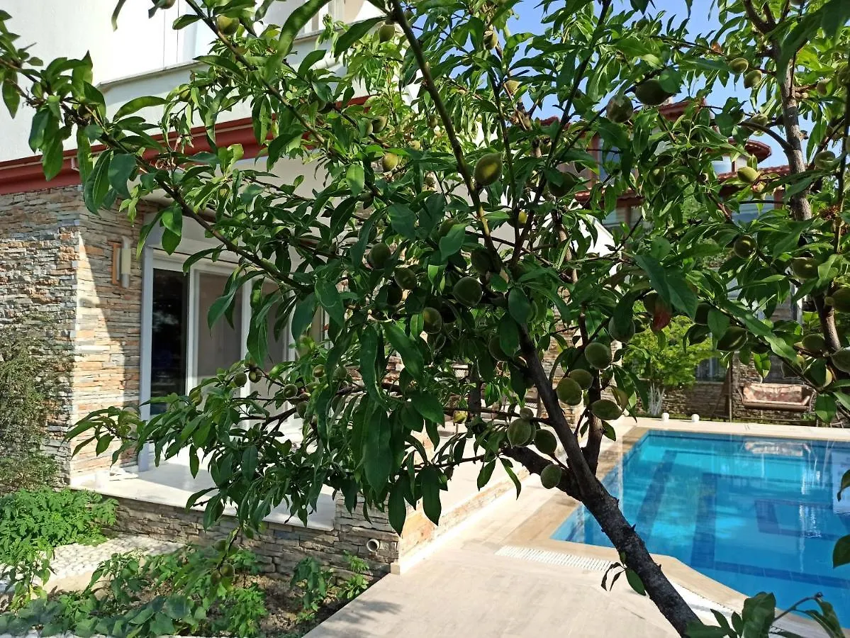 Villa Dora 库萨达斯
